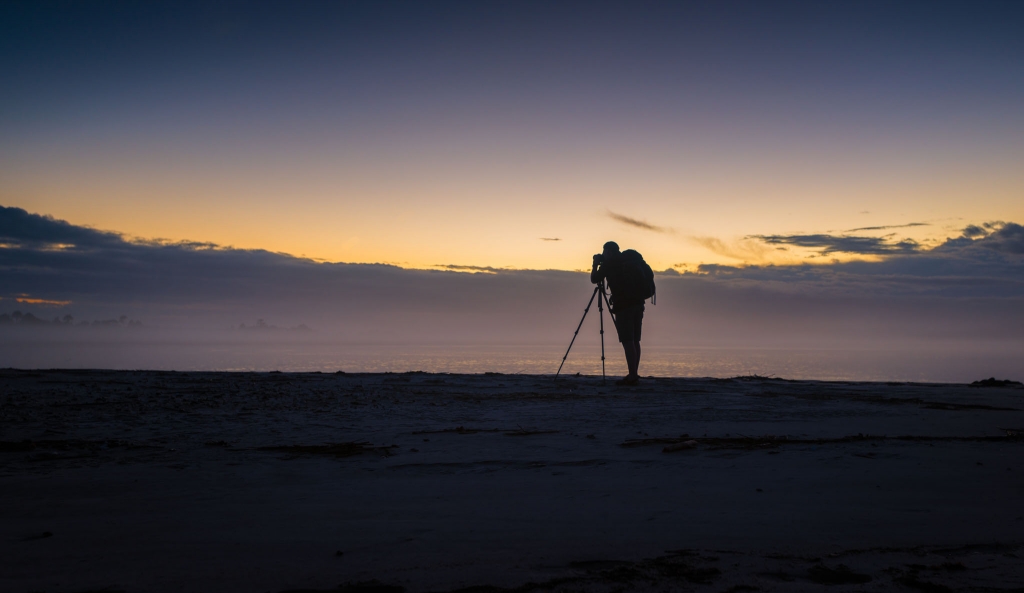 Coastal Insight Capers Island Kayak Adventure